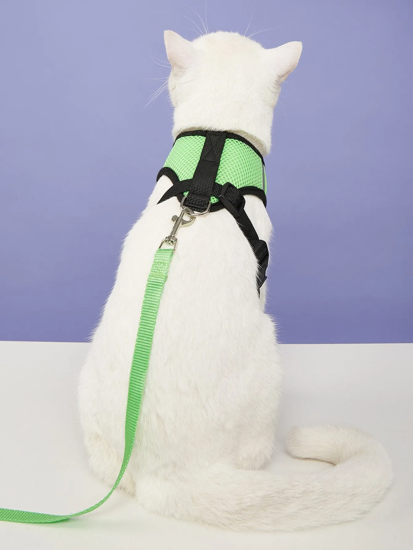 1pc Breathable Cat Harness & 1pc Cat Leash