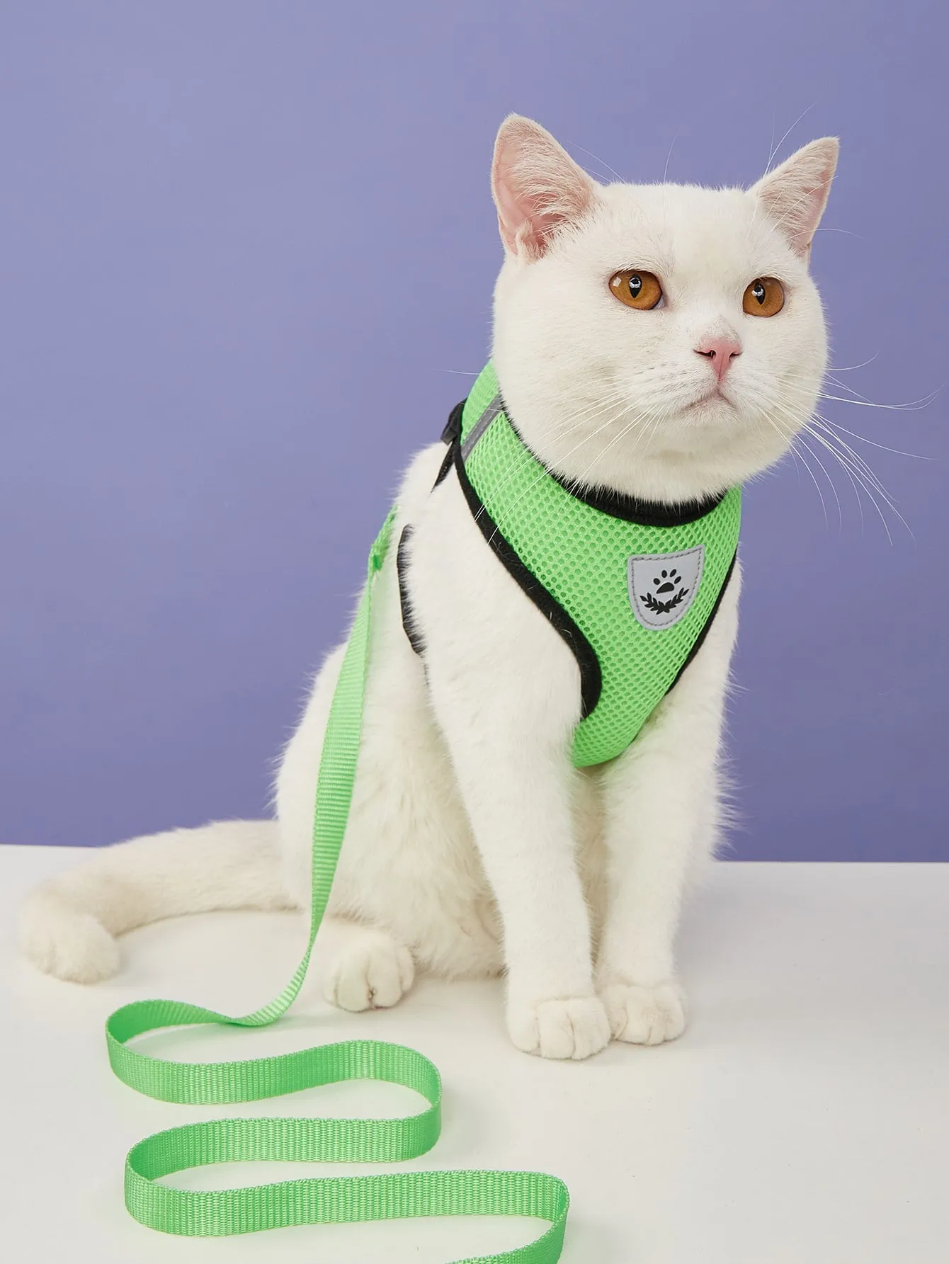 1pc Breathable Cat Harness & 1pc Cat Leash