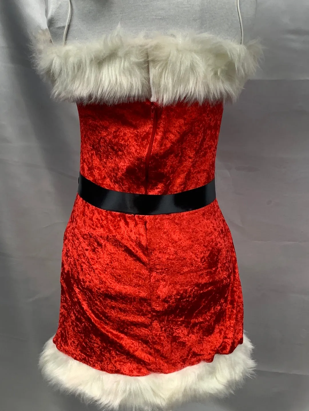 Christmas Gift Adult Women Santa Costume Size Standard Women Size 8- Preowned