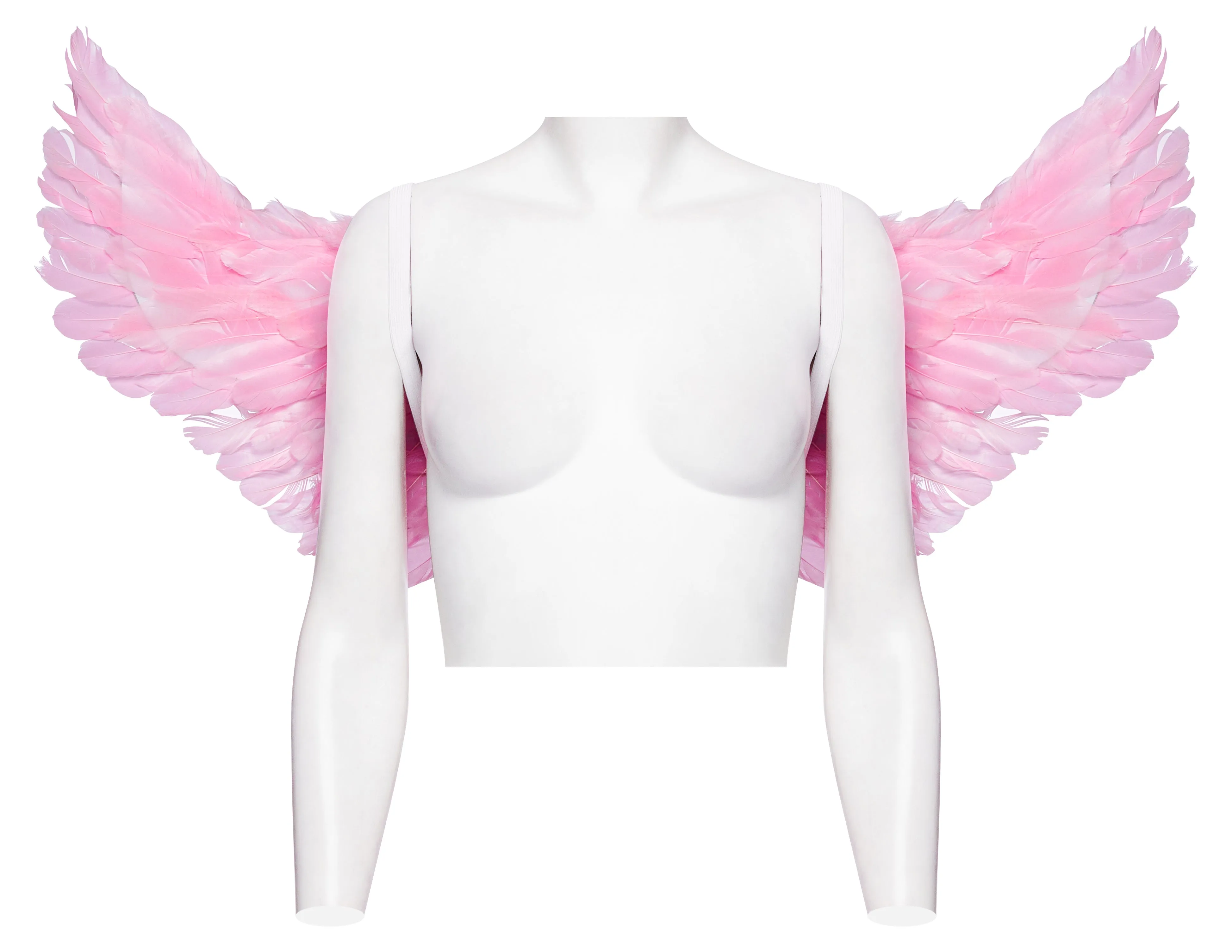 Cotton Candy Angel Wings