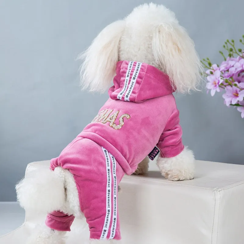 Fashion Dog Clothes