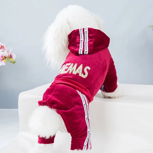 Fashion Dog Clothes