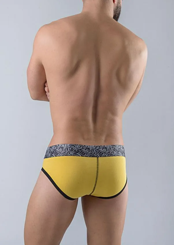 Men Briefs 1751s2