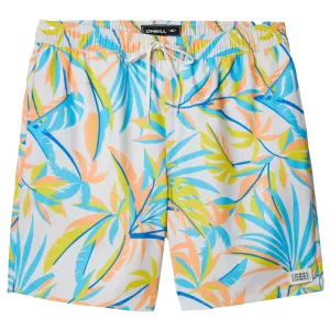 Men's Banyan Volley